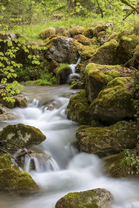 Gerahmter Druck : Schlucht von Perrefitte, kleine Schlucht Gerahmter Druck : Schlucht von Perrefitte, kleine Schlucht