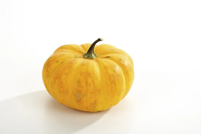 Gerahmter Druck : Kürbis (Cucurbita) Gerahmter Druck : Kürbis (Cucurbita)