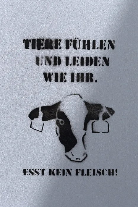 Gerahmter Druck : Graffiti gegen Fleischkonsum Gerahmter Druck : Graffiti gegen Fleischkonsum