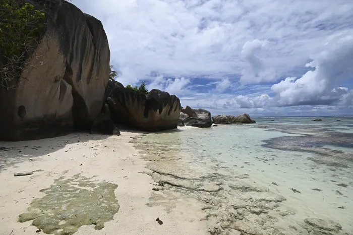 Gerahmter Druck : Granitfelsen auf der Anse Source dArgent. Gerahmter Druck : Granitfelsen auf der Anse Source dArgent.