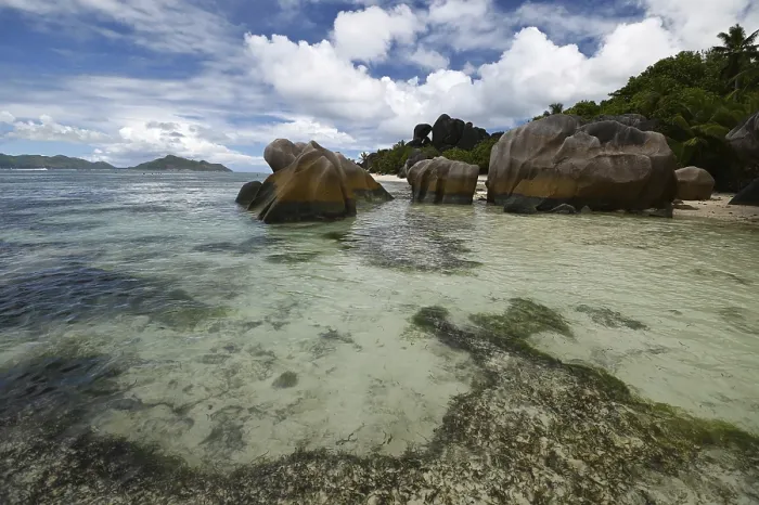 Gerahmter Druck : Granitfelsen auf der Anse Source dArgent. Gerahmter Druck : Granitfelsen auf der Anse Source dArgent.