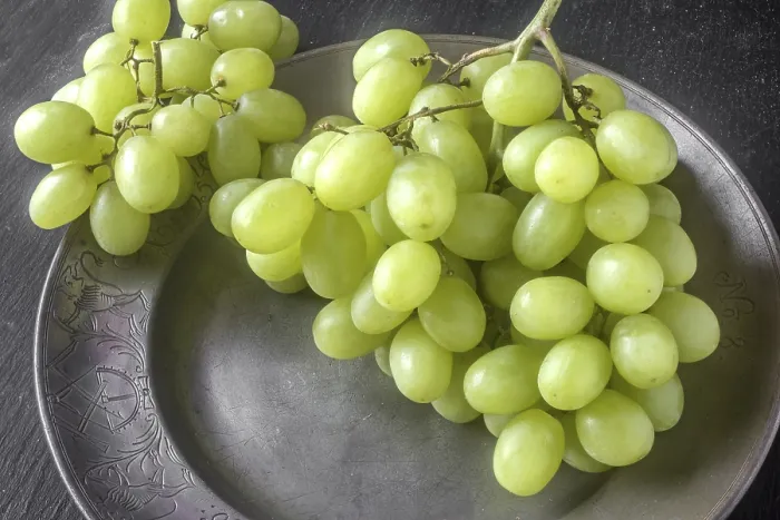 Gerahmter Druck : Traube, Thompson-Seedless Gerahmter Druck : Traube, Thompson-Seedless