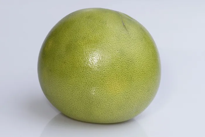 Gerahmter Druck : Grapefruit / (Citrus maxima) Gerahmter Druck : Grapefruit / (Citrus maxima)