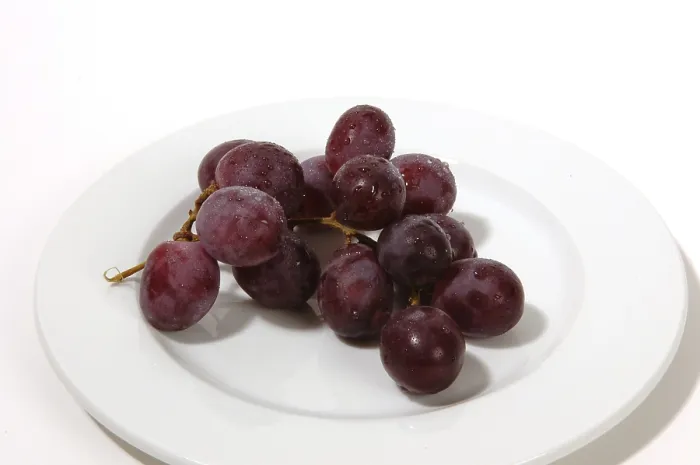 Gerahmter Druck : Grapes