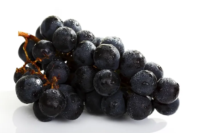 Gerahmter Druck : Grapes Gerahmter Druck : Grapes