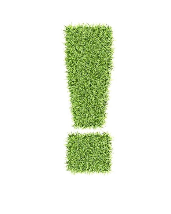 Gerahmter Druck : Gras-Alphabet Ausrufungszeichen Gerahmter Druck : Gras-Alphabet Ausrufungszeichen
