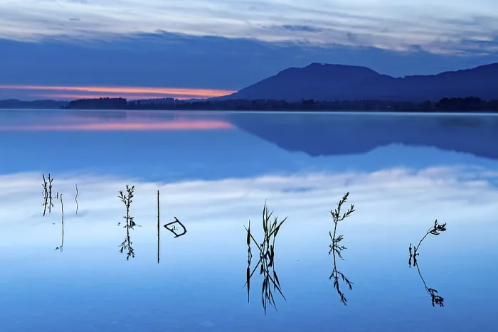 Gerahmter Druck : Gräser auf Wasserfläche mit Reflexion bei blauer Stunde. Gerahmter Druck : Gräser auf Wasserfläche mit Reflexion bei blauer Stunde.