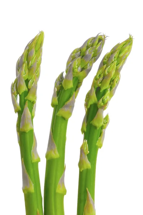 Gerahmter Druck : Grüner Spargel Gerahmter Druck : Grüner Spargel