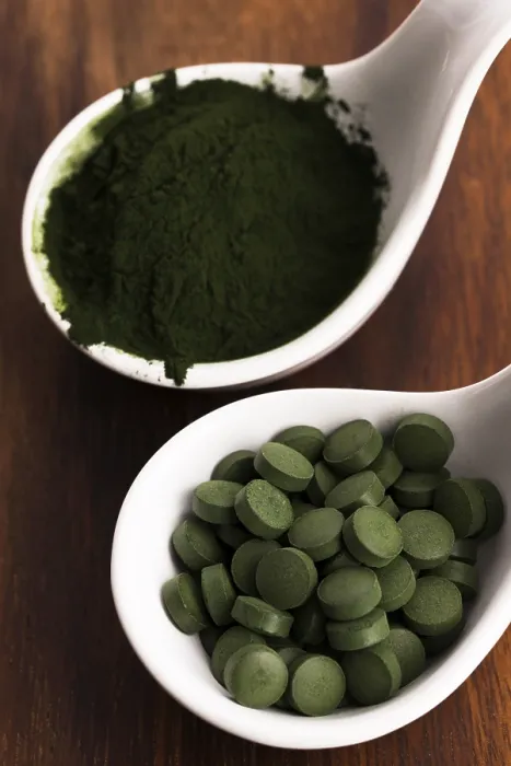 Gerahmter Druck : Grüne Chlorella Gerahmter Druck : Grüne Chlorella