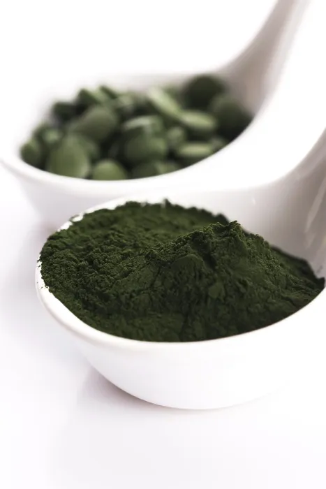 Gerahmter Druck : Grüne Chlorella Gerahmter Druck : Grüne Chlorella