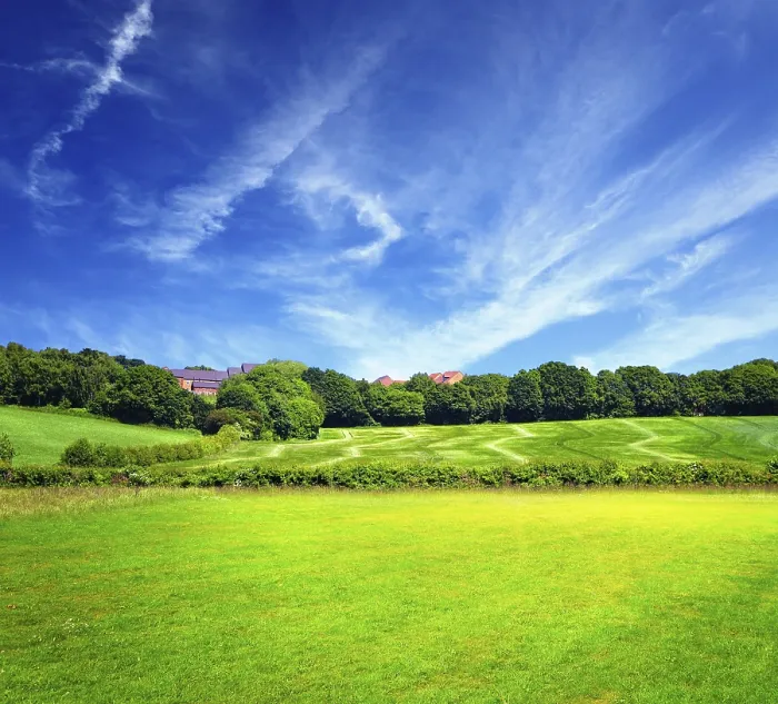 Gerahmter Druck : Grüner Feld und bewölkter Himmel. Gerahmter Druck : Grüner Feld und bewölkter Himmel.