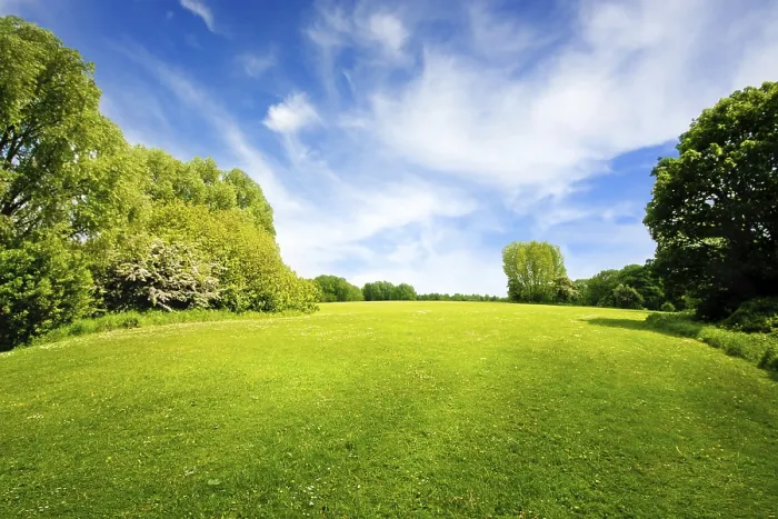 Gerahmter Druck : Grüner Feld und wolkiger Himmel. Gerahmter Druck : Grüner Feld und wolkiger Himmel.
