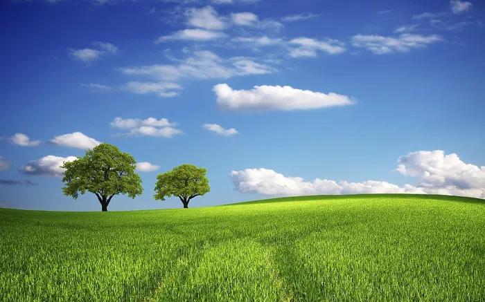 Gerahmter Druck : Grüner Feld in Frühling. Gerahmter Druck : Grüner Feld in Frühling.