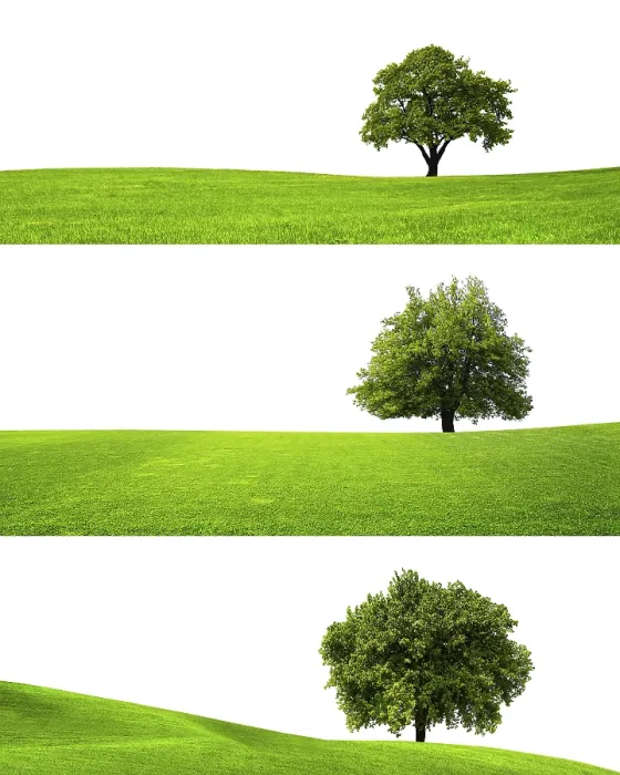 Gerahmter Druck : Grüne Natur Gerahmter Druck : Grüne Natur
