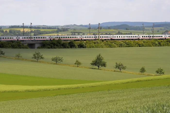 Gerahmter Druck : Grünes Weizenfeld mit Maschinenspuren. Gerahmter Druck : Grünes Weizenfeld mit Maschinenspuren.