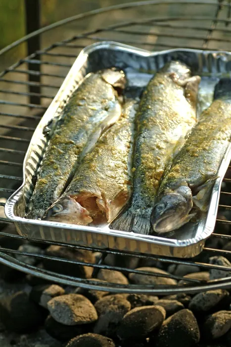 Gerahmter Druck : Gegrillte Forellen Gerahmter Druck : Gegrillte Forellen