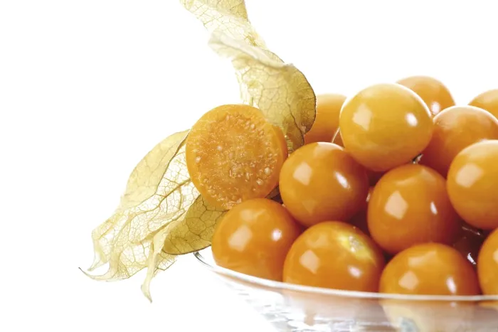 Gerahmter Druck : Groundcerries (Physalis) Gerahmter Druck : Groundcerries (Physalis)