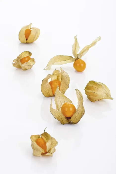 Gerahmter Druck : Erdbeeren, Erdbeeren (Physalis) Gerahmter Druck : Erdbeeren, Erdbeeren (Physalis)