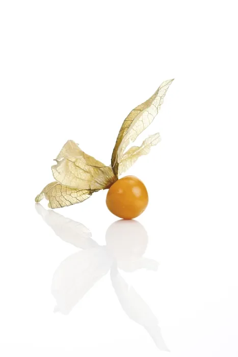 Gerahmter Druck : Erdbeereiche, Erdbeereich (Physalis) Gerahmter Druck : Erdbeereiche, Erdbeereich (Physalis)