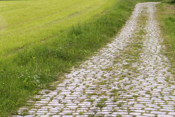 Gerahmter Druck : Gerahmter Druck :