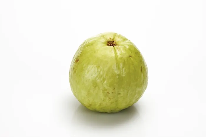 Gerahmter Druck : Guava Gerahmter Druck : Guava