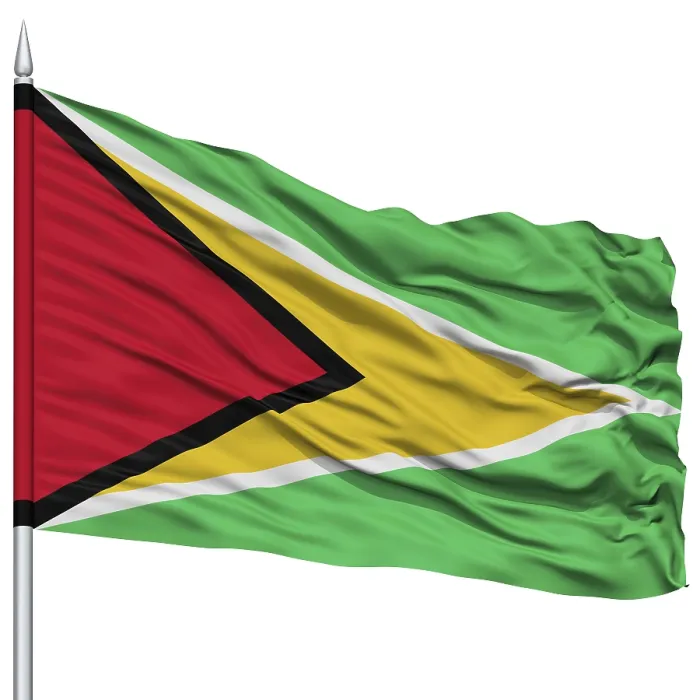 Gerahmter Druck : Die Flagge Guyanas an einem Flaggenmast, flattert im Wind.
