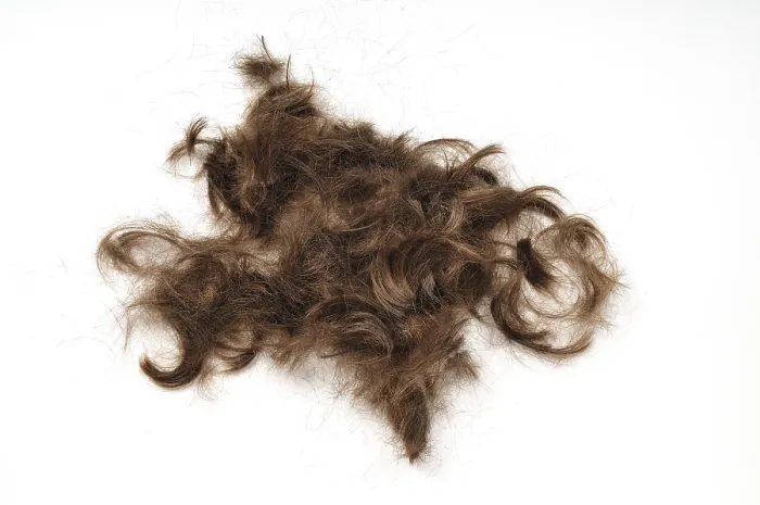 Gerahmter Druck : Haare auf weiß Gerahmter Druck : Haare auf weiß