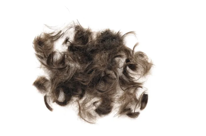 Gerahmter Druck : Haare auf weiß Gerahmter Druck : Haare auf weiß