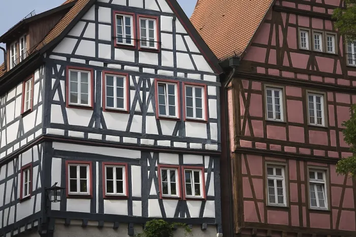 Gerahmter Druck : Halbholzweiß mit schwarz.