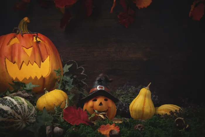 Gerahmter Druck : Halloweenhintergrund mit Kürbis, Walnüssen, Blättern und Halloweendekoration vor Holzwand Gerahmter Druck : Halloweenhintergrund mit Kürbis, Walnüssen, Blättern und Halloweendekoration vor Holzwand