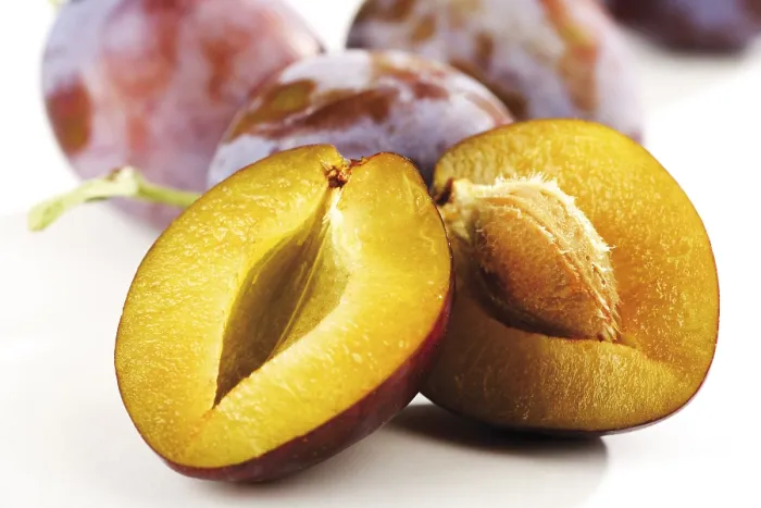 Gerahmter Druck : Halbbeer (Prunus) Gerahmter Druck : Halbbeer (Prunus)