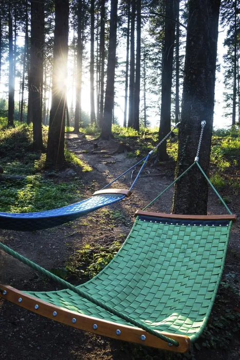 Gerahmter Druck : Schlafsack während eines Spaziergangs im Wald. Gerahmter Druck : Schlafsack während eines Spaziergangs im Wald.