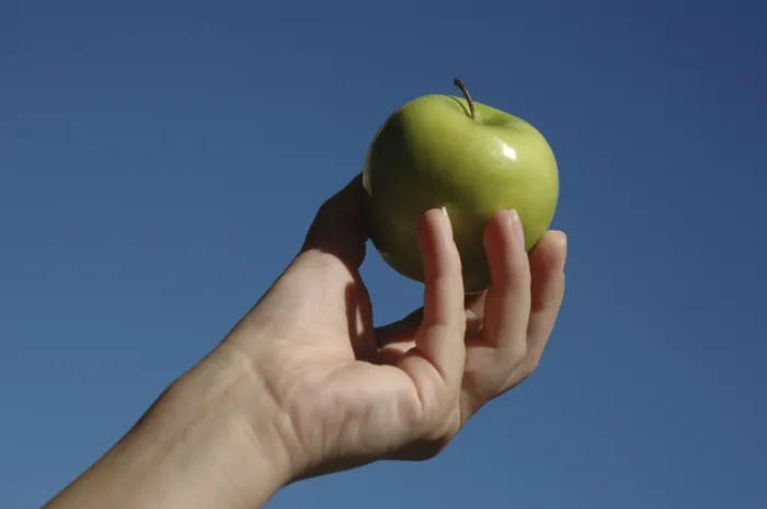 Gerahmter Druck : Die Hand hält einen Apfel. Gerahmter Druck : Die Hand hält einen Apfel.