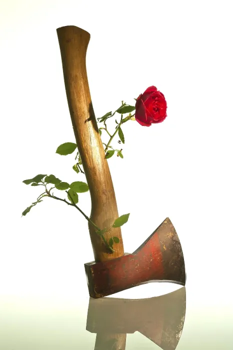 Gerahmter Druck : Von der Hand eines Beils spross eine Rose. Gerahmter Druck : Von der Hand eines Beils spross eine Rose.