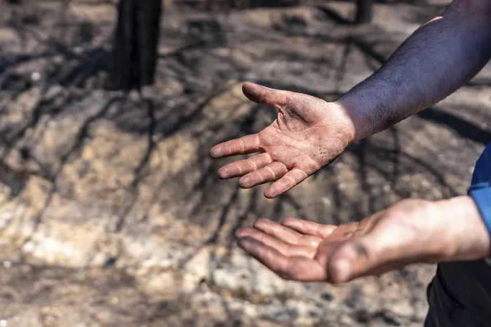 Gerahmter Druck : Hände eines Feuerwehrmannes im Waldbrand. Gerahmter Druck : Hände eines Feuerwehrmannes im Waldbrand.