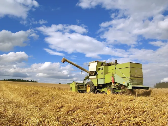 Gerahmter Druck : Harvest Gerahmter Druck : Harvest