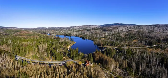 Gerahmter Druck : Nationalpark Harz Oderteich Gerahmter Druck : Nationalpark Harz Oderteich