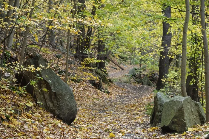 Gerahmter Druck : Harzer Hexenstieg Bode-Tal Gerahmter Druck : Harzer Hexenstieg Bode-Tal