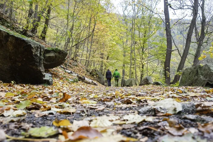 Gerahmter Druck : Harzer Hexenstieg Bode-Tal