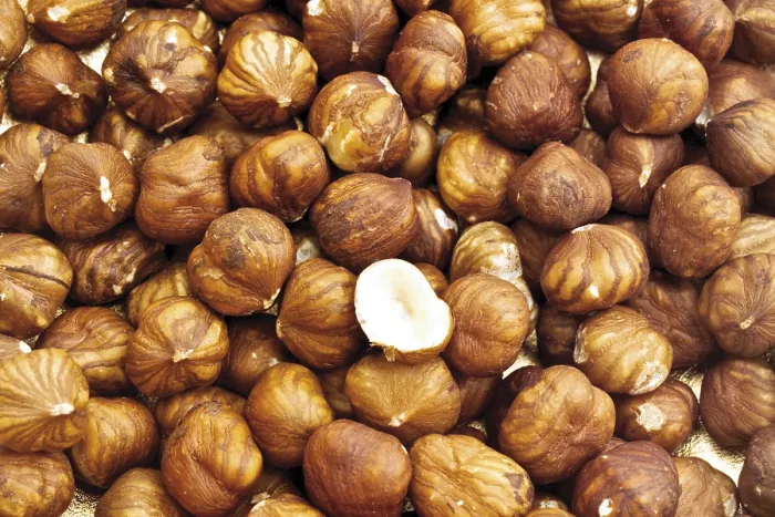 Gerahmter Druck : Haselnuts Gerahmter Druck : Haselnuts