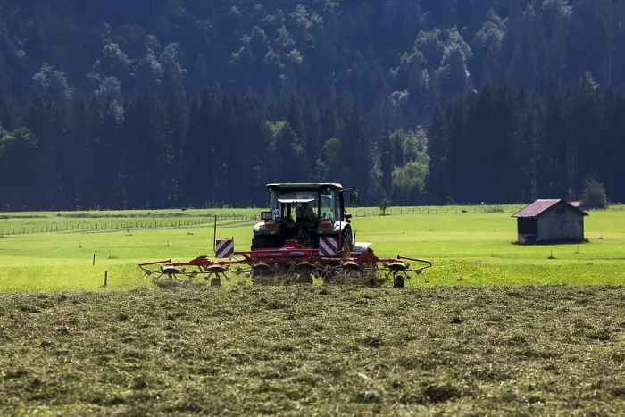 Gerahmter Druck : Mähzeit mit Traktor, Oberstdorf. Gerahmter Druck : Mähzeit mit Traktor, Oberstdorf.