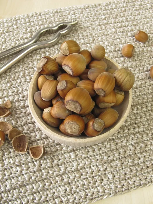 Gerahmter Druck : Hazelnuts Gerahmter Druck : Hazelnuts