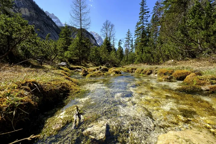 Gerahmter Druck : Quellfluss der Isar Gerahmter Druck : Quellfluss der Isar
