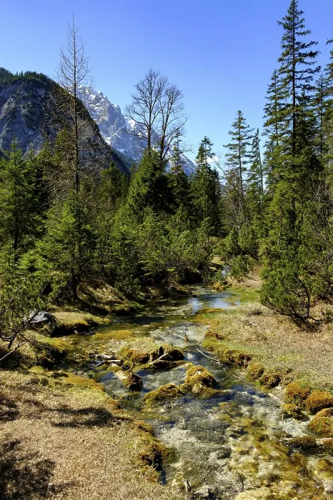 Gerahmter Druck : Quellfluss der Isar Gerahmter Druck : Quellfluss der Isar