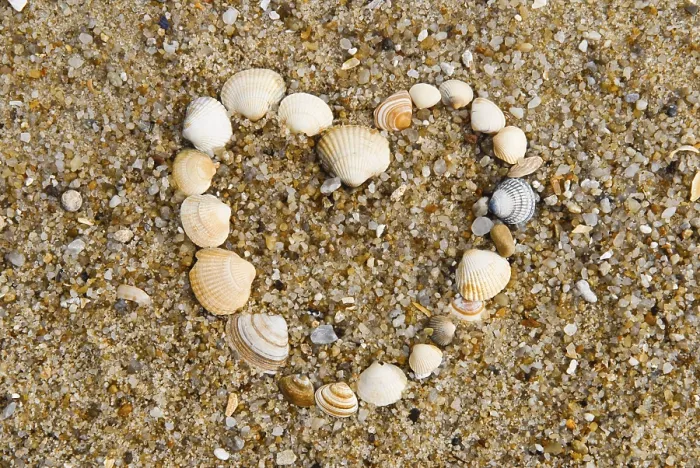 Gerahmter Druck : Herz aus Muscheln im Sand. Gerahmter Druck : Herz aus Muscheln im Sand.