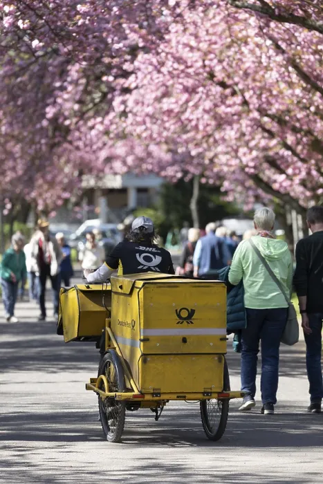 Gerahmter Druck : Schwer beladener Postbote Gerahmter Druck : Schwer beladener Postbote