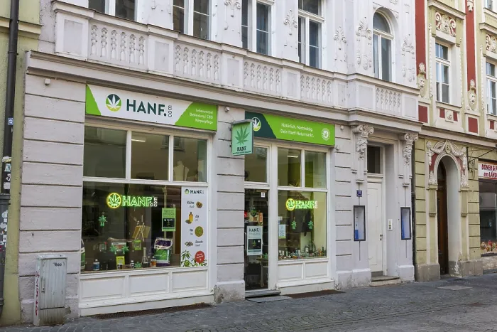 Gerahmter Druck : Hanf Einzelhandelsgeschäft Gerahmter Druck : Hanf Einzelhandelsgeschäft