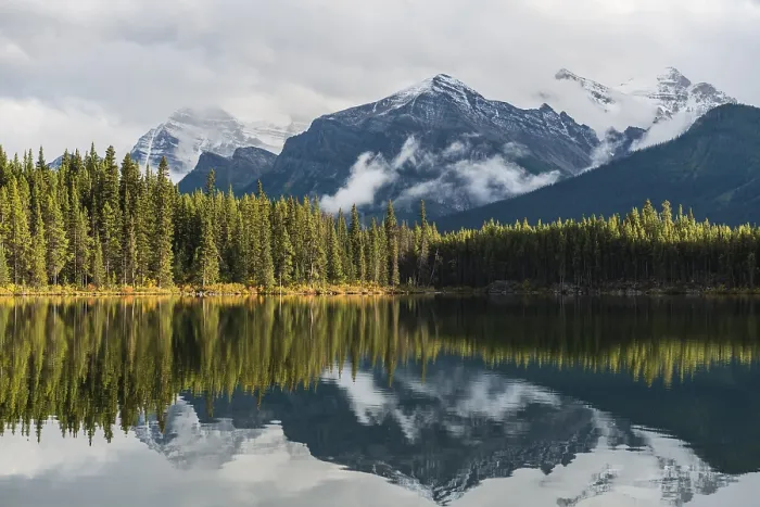 Gerahmter Druck : Herbert Lake, See mit Spiegelung der Bow Range. Gerahmter Druck : Herbert Lake, See mit Spiegelung der Bow Range.