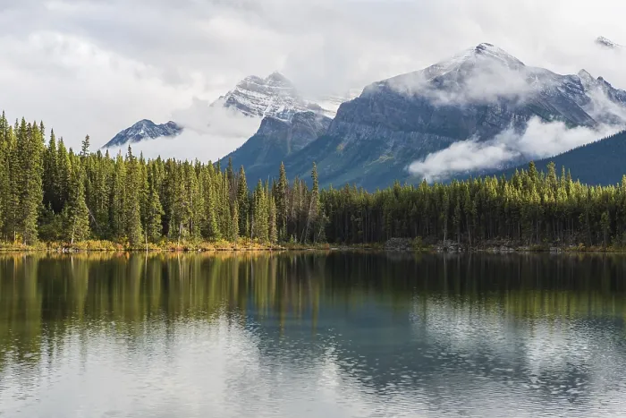 Gerahmter Druck : Herbert Lake, See mit Spiegelbild der Bow Range. Gerahmter Druck : Herbert Lake, See mit Spiegelbild der Bow Range.