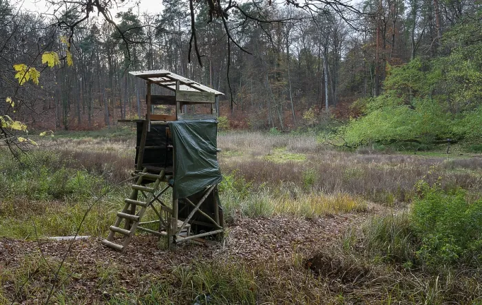 Gerahmter Druck : Burgstall in der Choriner Heide, Brandenburg, Deutschland